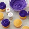 Wilton Icing Color Gel Food Coloring, 1 Ounce, Red-Red(Violet)