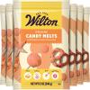 Wilton Melting Chocolate Orange Candy Melts for Cake Pops Candy Making Chips Vanilla Flavored 12oz., Pack of 6, Packaging May Vary(Orange)