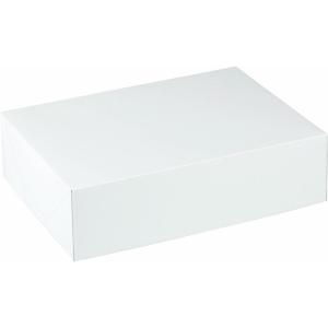 Wilton 2-Pack Corrugated Cake Box, 19 by 14 by 4-Inch(10X14X4 2CT)