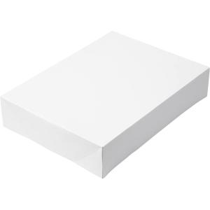 Wilton 2-Pack Corrugated Cake Box, 19 by 14 by 4-Inch(19X14X4 2CT)