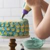 Wilton Color Swirl Icing Kit, Color Swirl Plastic Coupler With Swirl Feature, Piping Bags And Tips Set Icing Piping Kit, 9-Piece(1 Count (Pack of 1))