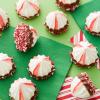 Wilton Christmas X-Mas Icing Color(1 oz.)
